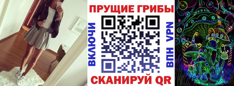 Галлюциногенные грибы Magic Shrooms  MEGA ТОР  Холмск 