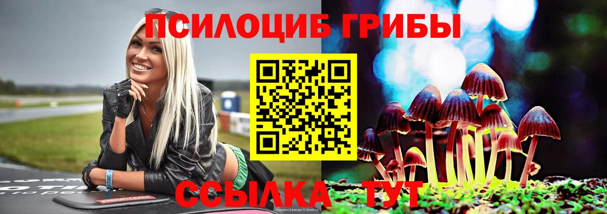 Галлюциногенные грибы Psilocybe  Псилоцибиновые грибы GOLDEN TEACHER  Вход с VPN  Холмск 